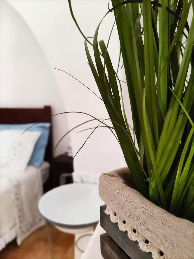 I Trulli Di Caterina - Casa Vacanza Privata Μαρτίνα Φράνκα Εξωτερικό φωτογραφία